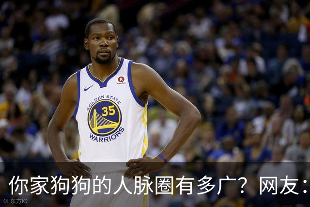 你家狗狗的人脉圈有多广？网友：我也是只认识狗不认识狗主人